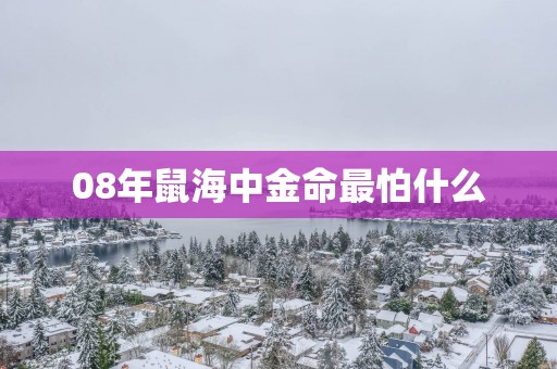 08年鼠海中金命最怕什么