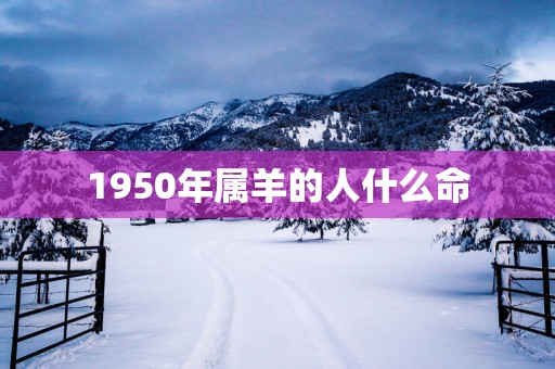 1950年属羊的人什么命