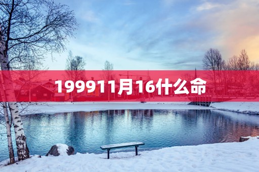 199911月16什么命