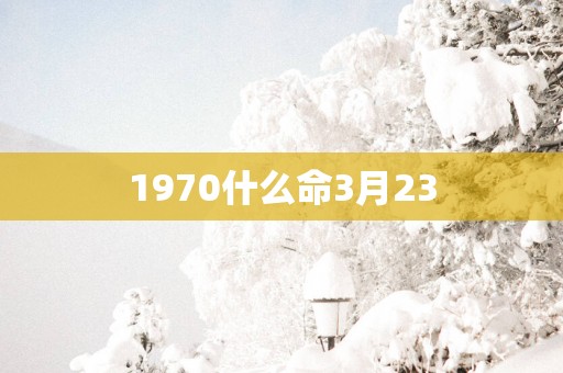 1970什么命3月23