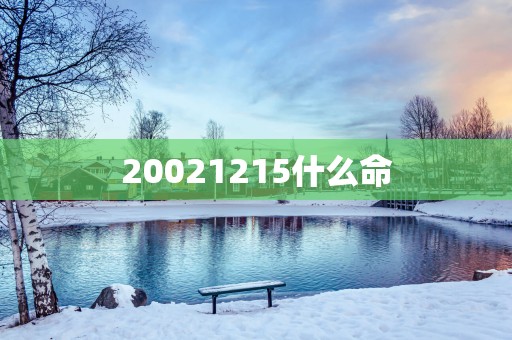 20021215什么命