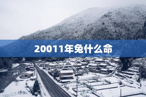 20011年兔什么命
