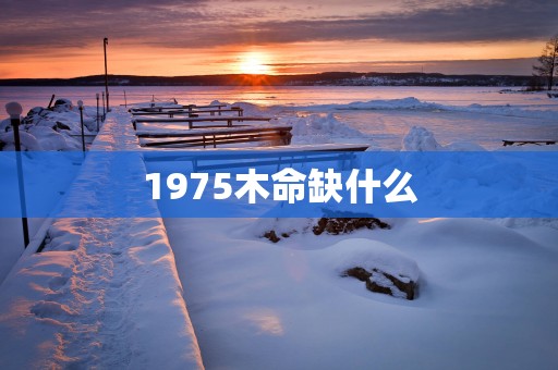 1975木命缺什么