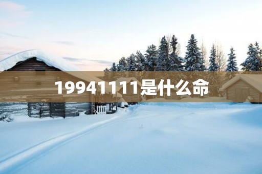 19941111是什么命