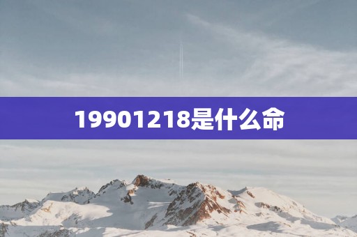 19901218是什么命