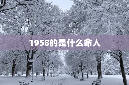 1958的是什么命人