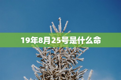 19年8月25号是什么命
