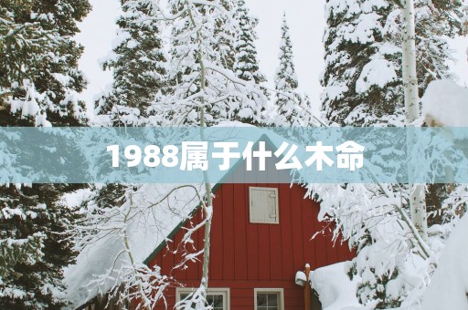 1988属于什么木命