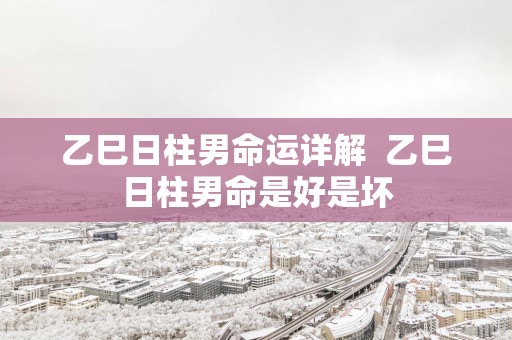 乙巳日柱男命运详解  乙巳日柱男命是好是坏