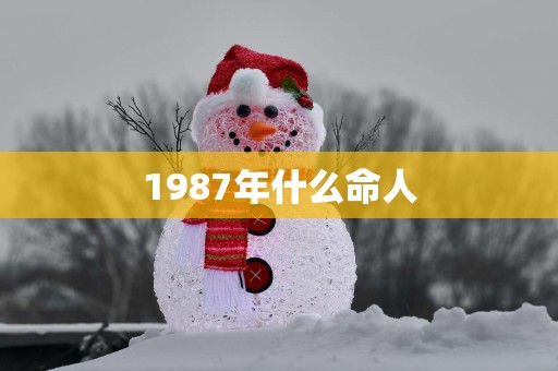 1987年什么命人