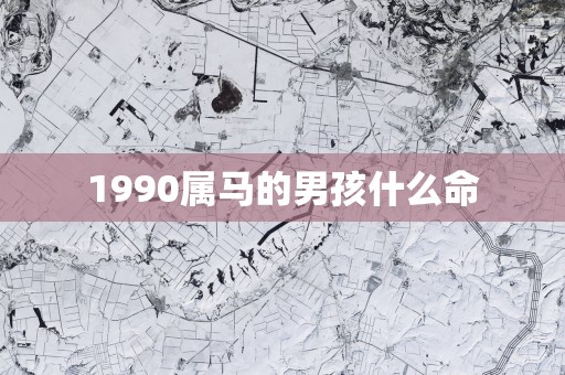 1990属马的男孩什么命