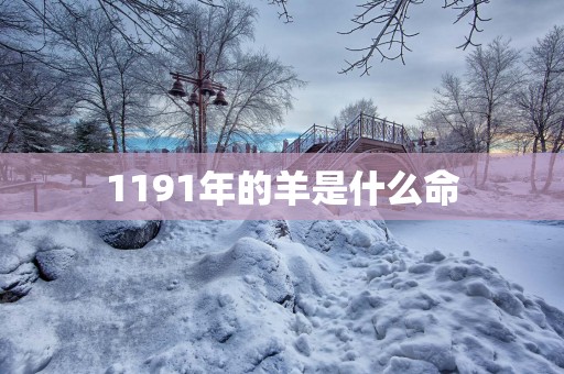 1191年的羊是什么命