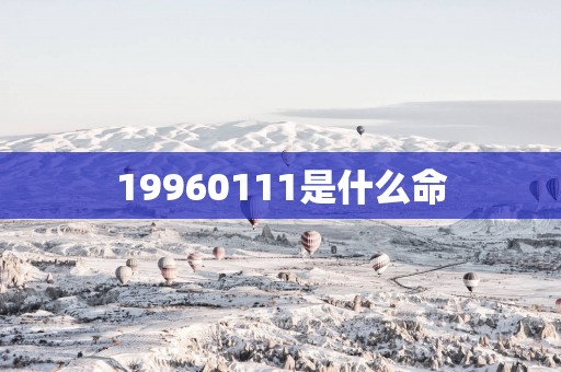 19960111是什么命