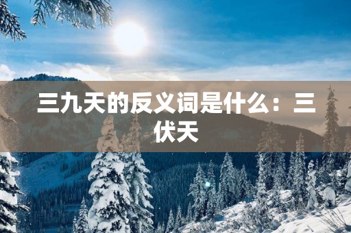 三九天的反义词是什么：三伏天