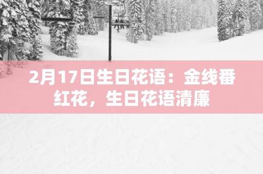 2月17日生日花语：金线番红花，生日花语清廉