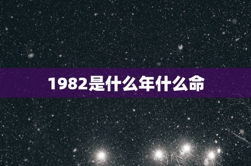 1982是什么年什么命
