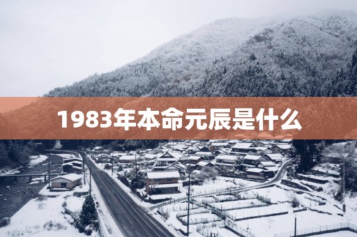 1983年本命元辰是什么