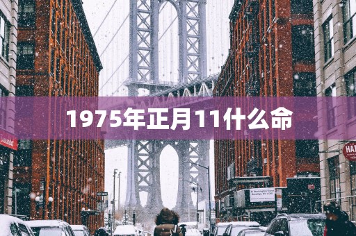 1975年正月11什么命