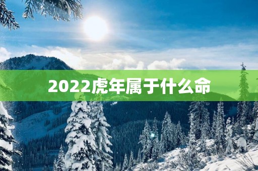 2025蛇年属于什么命