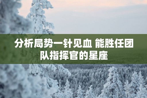 分析局势一针见血 能胜任团队指挥官的星座