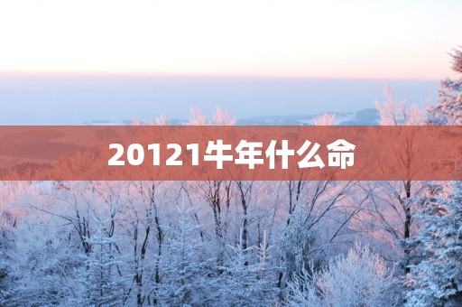 20121蛇年什么命