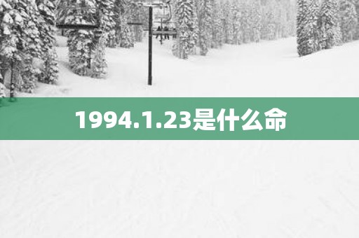 1994.1.23是什么命