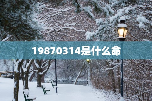19870314是什么命