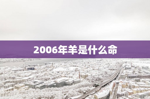 2006年羊是什么命