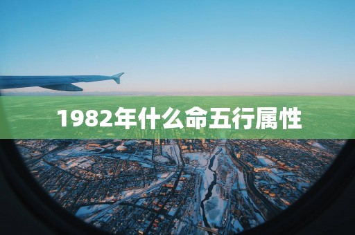 1982年什么命五行属性