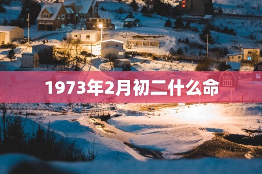 1973年2月初二什么命