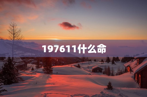 197611什么命