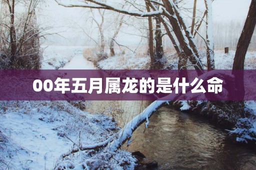 00年五月属龙的是什么命