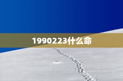 1990223什么命