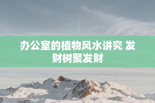 办公室的植物风水讲究 发财树聚发财