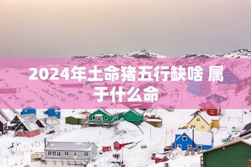 2025年土命猪五行缺啥 属于什么命 2025年土命猪五行缺啥 属于什么命
