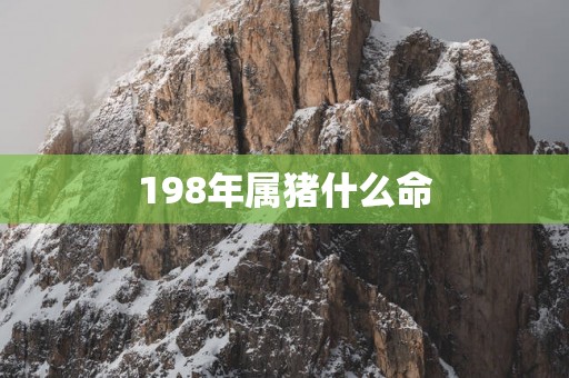 198年属猪什么命