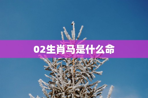 02生肖马是什么命