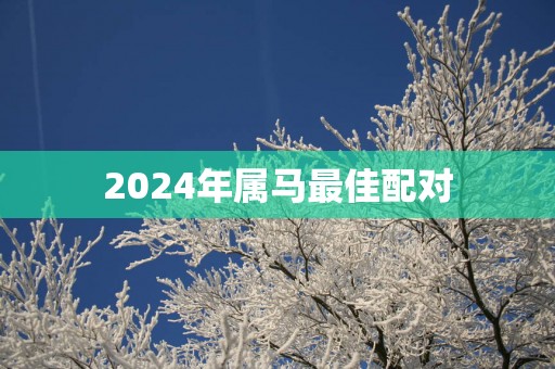 2025年属马最佳配对