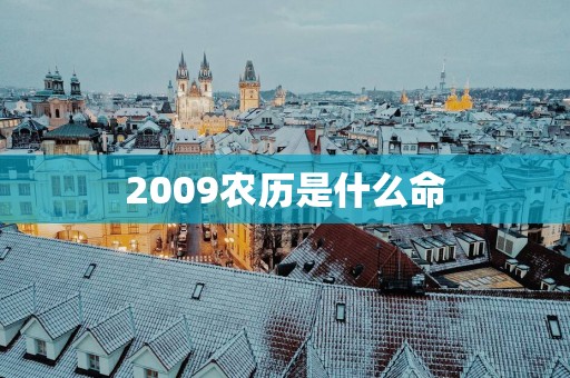 2009农历是什么命