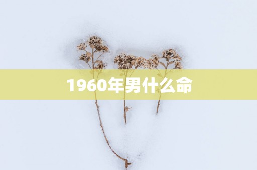 1960年男什么命