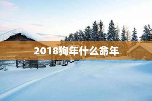 2018狗年什么命年