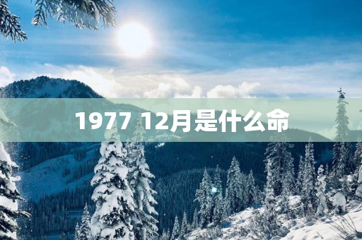 1977 12月是什么命