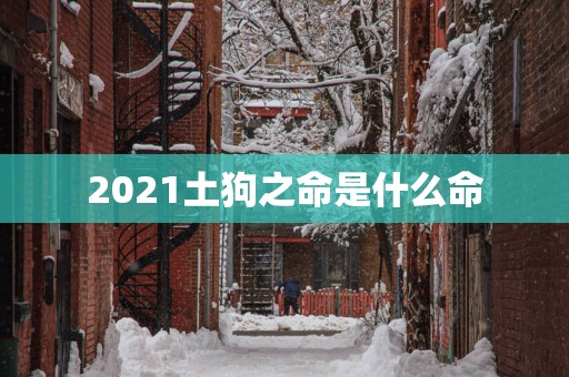 2025土狗之命是什么命
