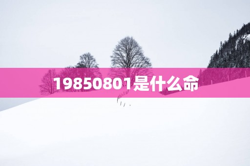 19850801是什么命
