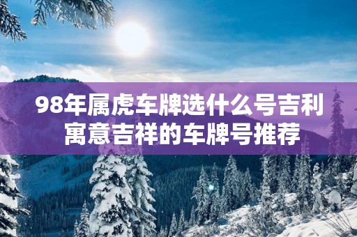 98年属虎车牌选什么号吉利 寓意吉祥的车牌号推荐