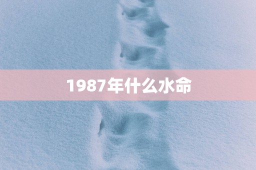 1987年什么水命