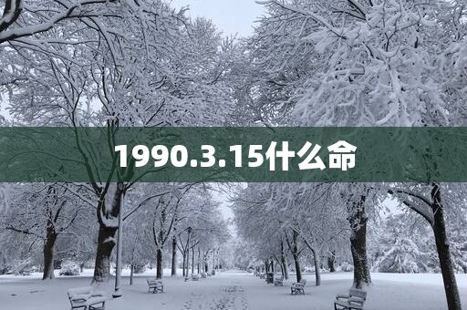 1990.3.15什么命