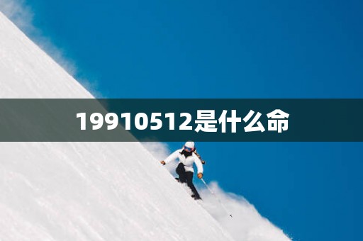 19910512是什么命