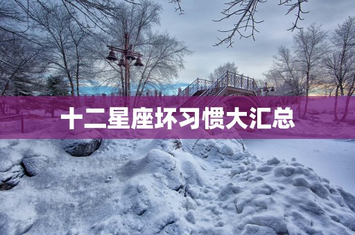 十二星座坏习惯大汇总