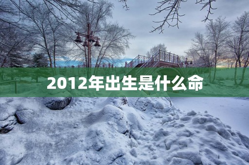 2012年出生是什么命
